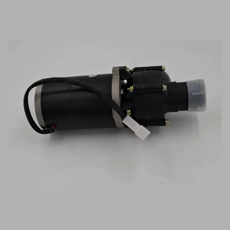 Soddisfatti O Rimborsati Pompa Acqua Elettrica Universale 12V