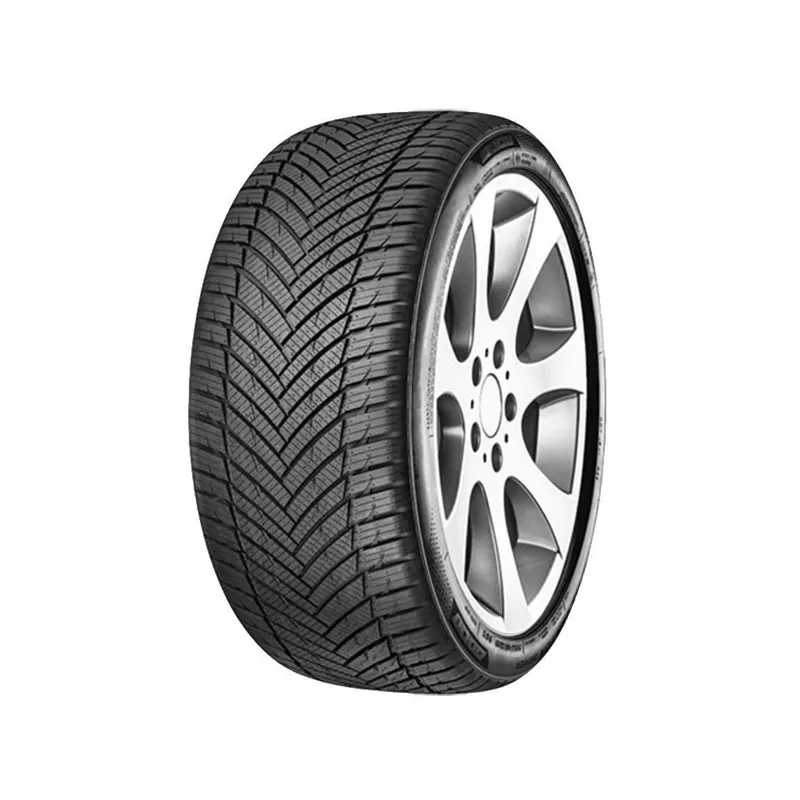 255/40 R20 101 Y Minerva All Season Master Saldi