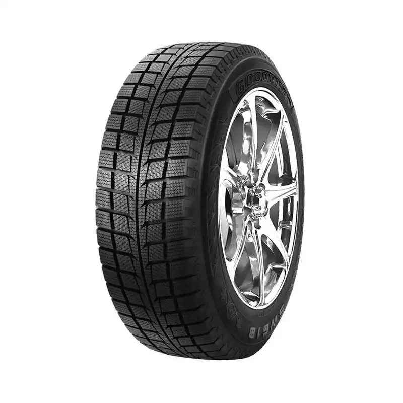 Professionale 205/60 R16 92 T Goodride Sw618