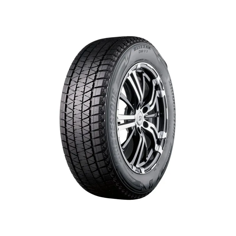 215/60 R17 100 S Bridgestone Blizzak Dm-v3 Acquista Ora