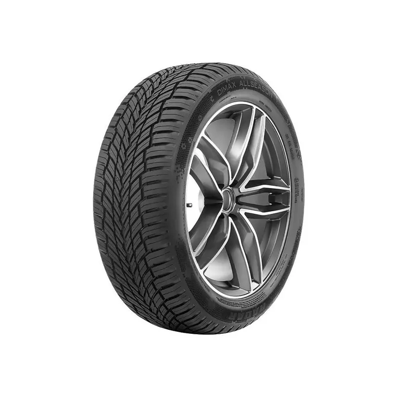 195/55 R16 91 V Radar Dimax All Season Compra Adesso