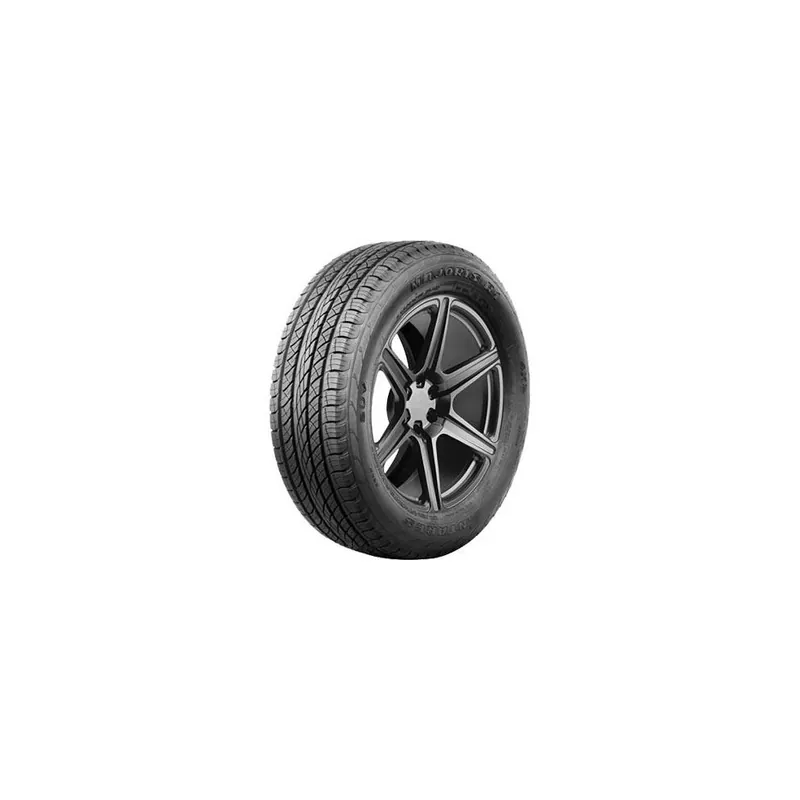 Economico 275/45 R22 112 V Antares Majoris R1
