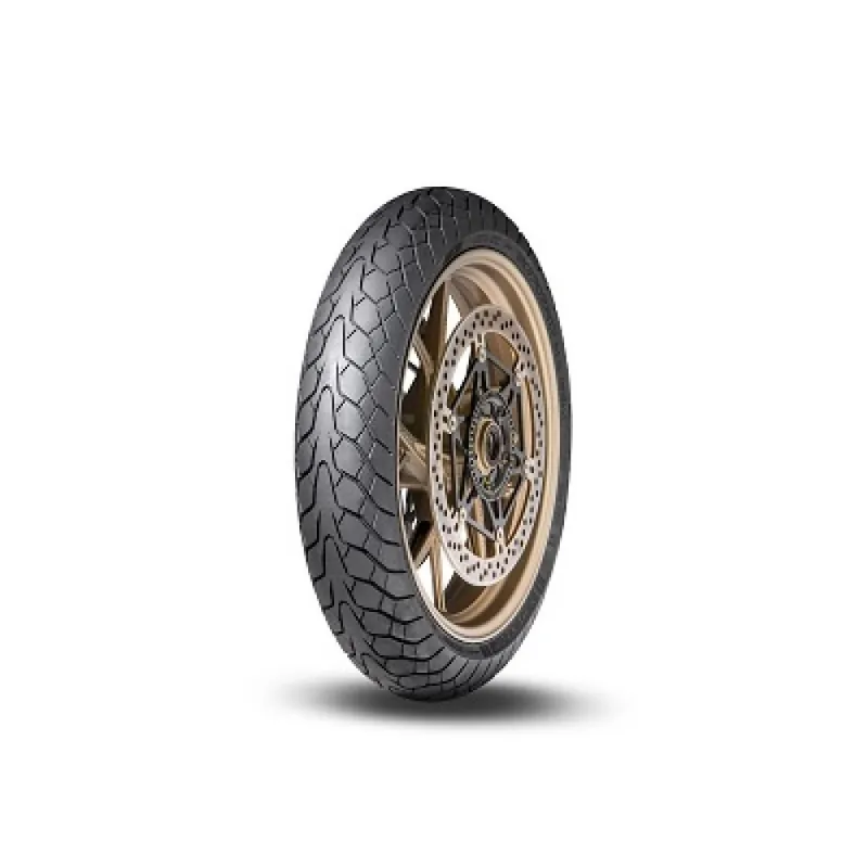120/70 R17 58 W Dunlop Mutant Front Offerta