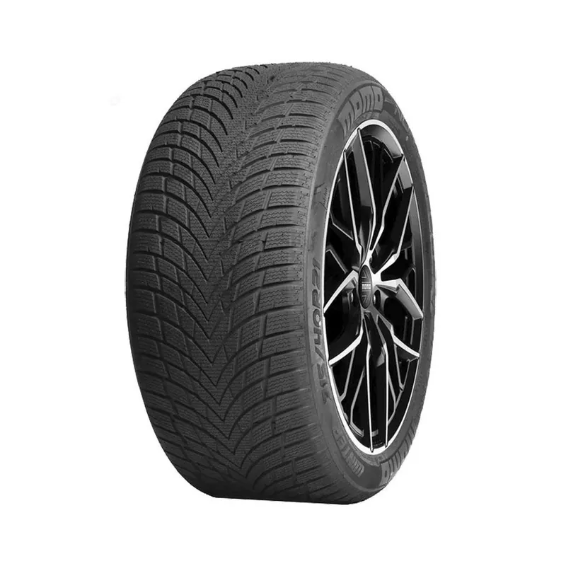 205/55 R17 95 V Momo North Pole W-20 Economico