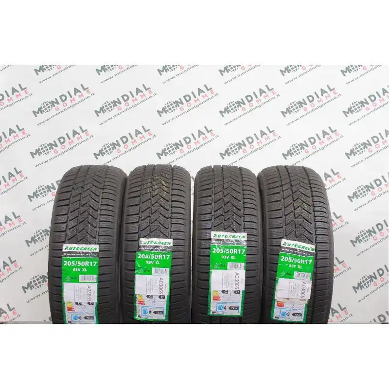 205 50 R17 93V XL AUTOGREEN WINTER MAX A1 M+S Popolare