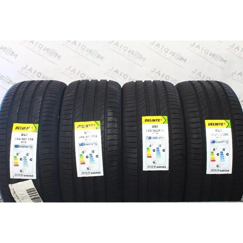 Promozione 245 40 ZR18 97W XL M+S DELINTE DS2