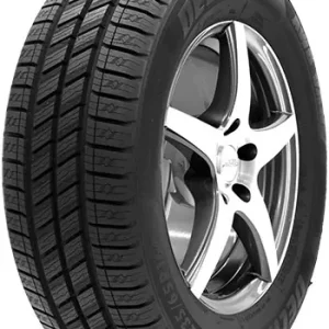 DELINTE 225/65 R16 TL 112S DELINTE AW6-VAN Compra Online