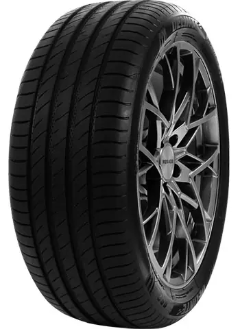 DELINTE 185/55 HR15 TL 86H DELINTE DS2 Scelto Dai Clienti