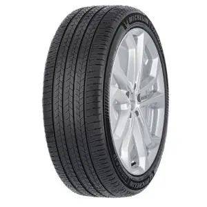 Di Tendenza 255 35 R19 99W XL MICHELIN e.Primacy 2 MO