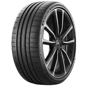 Professionale 295 35 ZR21 (110Y) XL MICHELIN Pilot Sport S 5 *