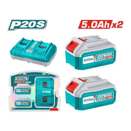 Economico 4707500554 INECO - STARTER KIT 2 BATTERIE 20V 5AH + CARICABATTERIE RAPIDO DOPPIO 4A