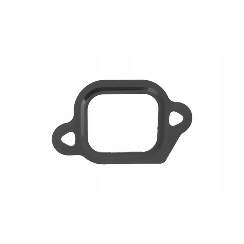 Ultima Occasione FIAT 55209340 Guarnizione Tenuta Condotto Valvola EGR | Misure 60x37 mm
