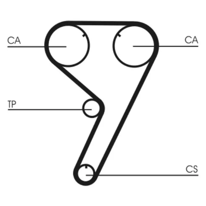 Cinghia dentata CT608 CONTINENTAL CTAM per FIAT ALFA ROMEO LANCIA Ultimissimo Modello