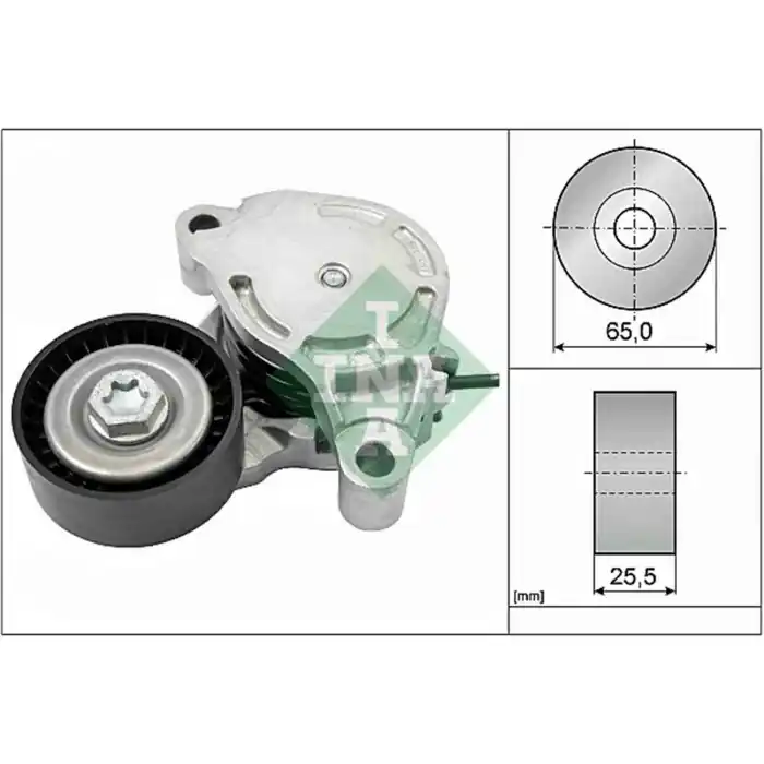 Tendicinghia Cinghia Poly-V 534 0571 10 SCHAEFFLER INA per BMW MINI Ordina Subito