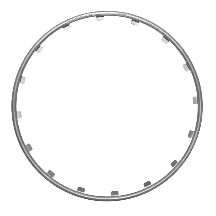 Rim RingzT Ø 17" Argento Rim Ringz Protezione/estetica Prezzo Scontato
