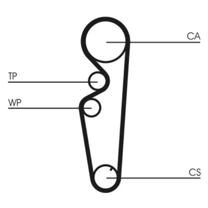 Compra Adesso Cinghia dentata CT878 CONTINENTAL CTAM per FIAT LANCIA