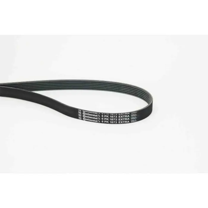 Cinghia Poly-V 6PK1073 EXTRA CONTINENTAL CTAM per PEUGEOT CITROEN TOYOTA OPEL DS Vendita Finale