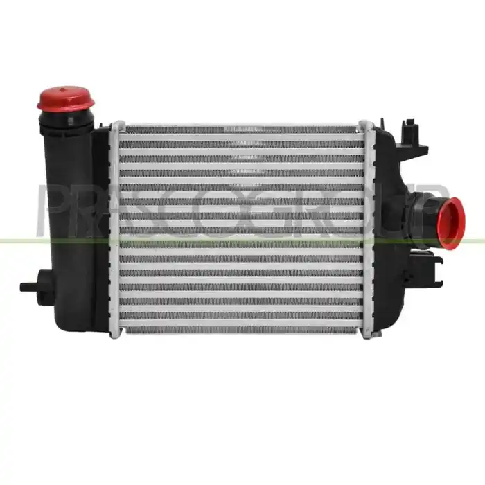 Occasione Intercooler Nissan Micra K14 Dal 2019 144966668R