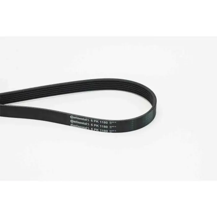 Cinghia Poly-V 6PK1180 CONTINENTAL CTAM per BMW VW FORD OPEL FIAT NISSAN HONDA Consegna Rapida