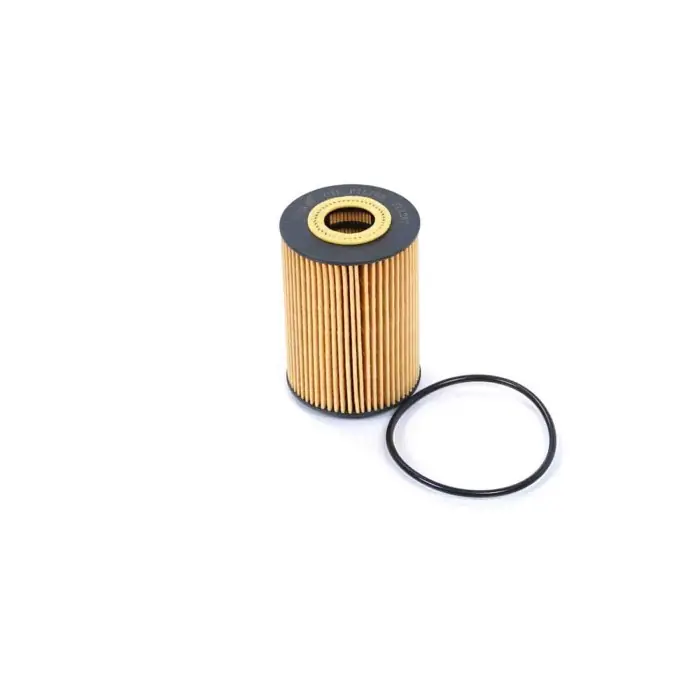 Direttamente Dal Produttore Filtro Olio Nissan Nt400 Cabstar (f24m) Fl1287 15208-2w200 Cartuccia Filtro Bremsi