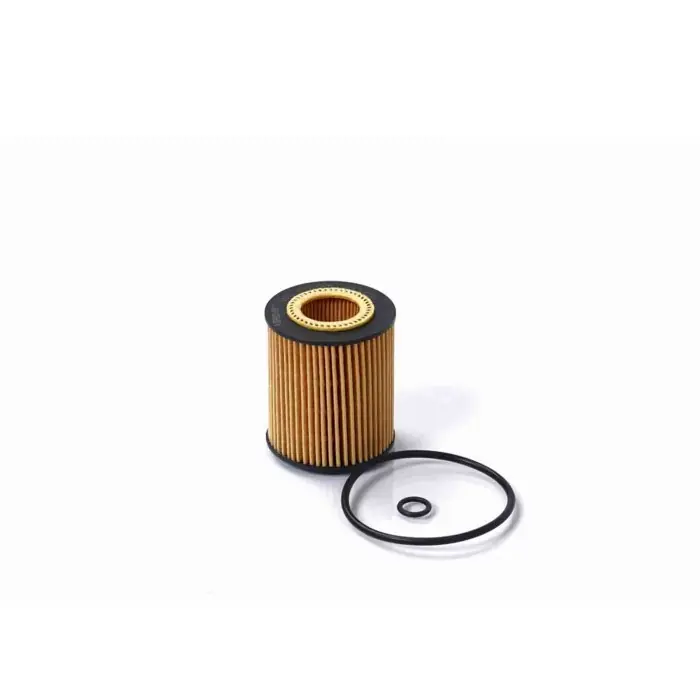Direttamente Dal Produttore Filtro Olio Ford Galaxy Ii (wa6) Fl1720 1124 160 Cartuccia Filtro Bremsi