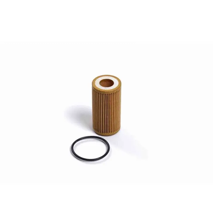 Solo Oggi Filtro Olio Ford Focus Iv (hn) Fl2615 2 215 731 Cartuccia Filtro Bremsi