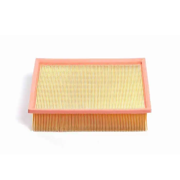 Filtro Aria Citroen C4 I Cassone / Coda Spiovente (lr) Fa1349 1444 Fg Bremsi Pagamento Sicuro