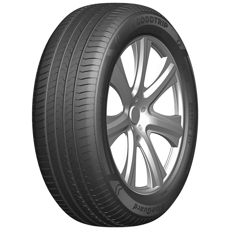GOODTRIP BLUEGUARD XL 215/65 R16 102V TL Affare