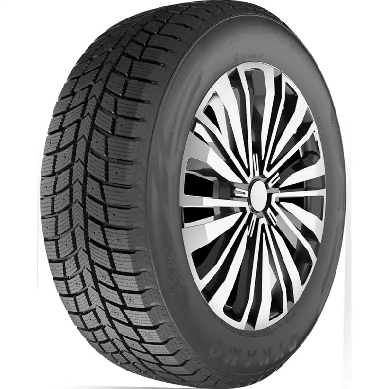DYNAMO SNOW H MWH03 205/65 R16 95T TL M+S 3PMSF Di Tendenza