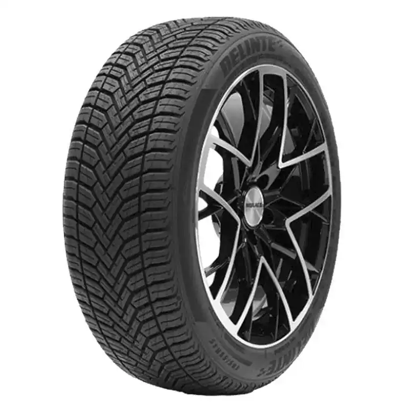 Compra Adesso DELINTE AW 6 XL 225/55 R18 102V TL M+S 3PMSF