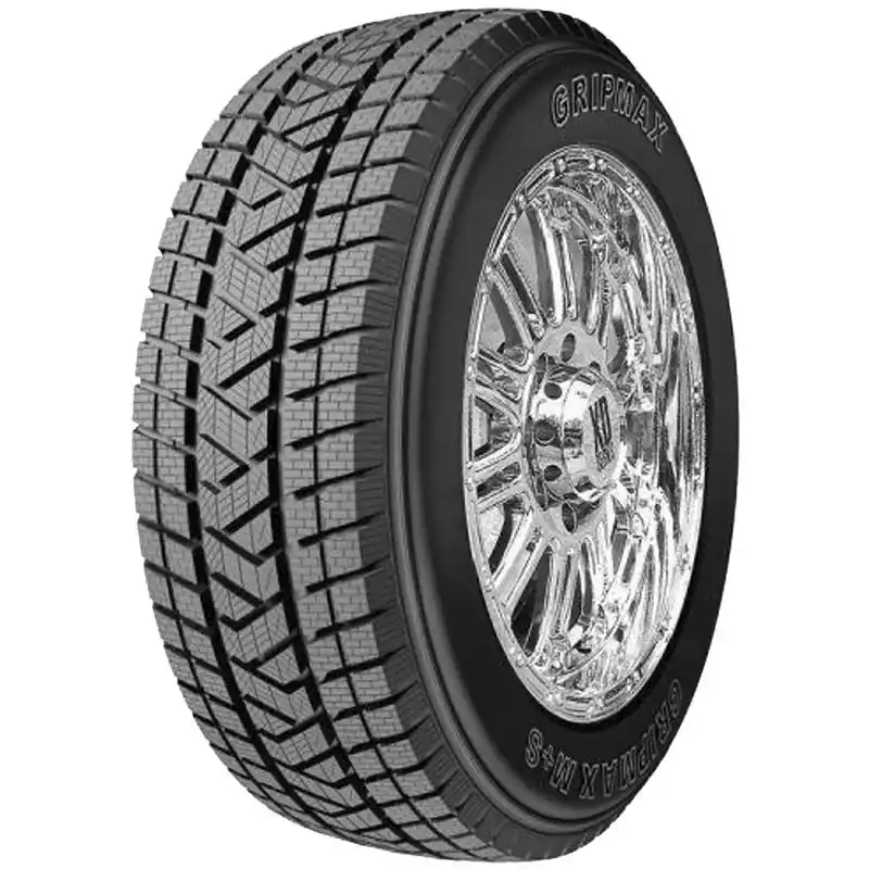 GRIPMAX STATURE MS XL 295/35 R21 107V TL M+S 3PMSF Compra Adesso
